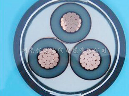 交联铠装系列91抖音视频在线观看