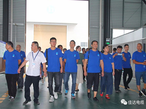 91抖音免费版电缆有限公司,91抖音免费版电缆,湖南91抖音免费版，