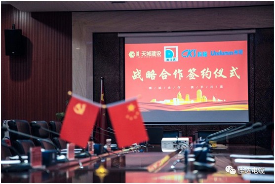 91抖音免费版电缆有限公司,91抖音免费版电缆,湖南91抖音免费版，