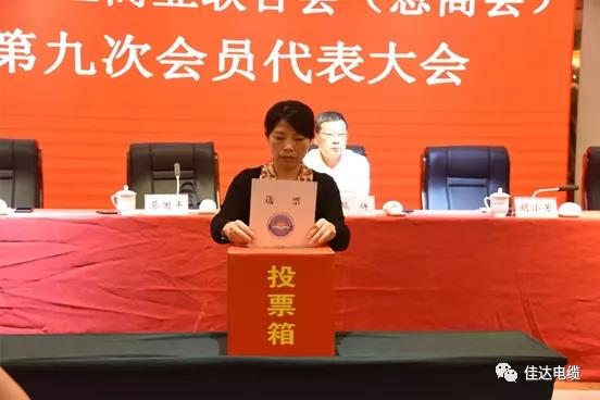 91抖音免费版电缆有限公司,91抖音免费版电缆,湖南91抖音免费版，